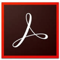 Adobe Acrobat Standard 2020 WIN CZ