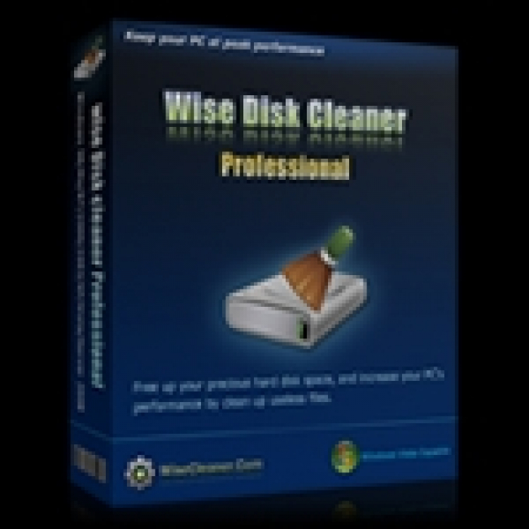 Wise Disk Cleaner 11.0.5.819 download the new version for ios